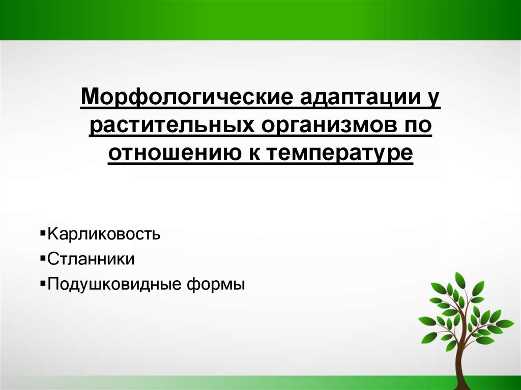 Морфологические адаптации презентация