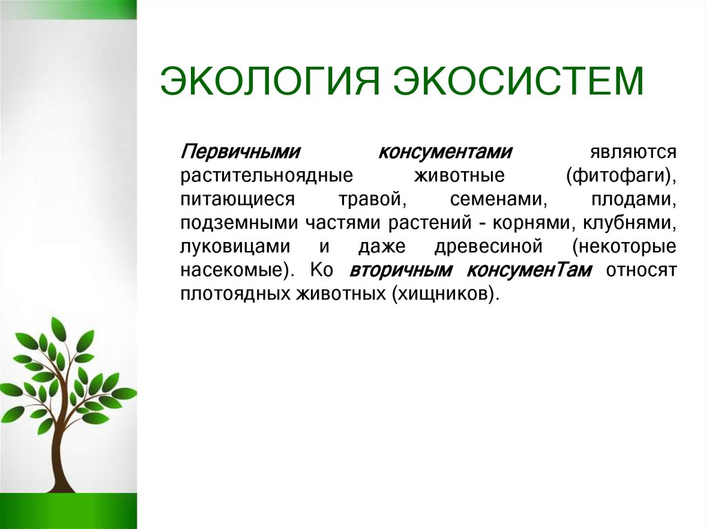 Биогеоценоз это в экологии. Задачи экологии растений. Экосистемная экология это. Задачи социальной экологии.