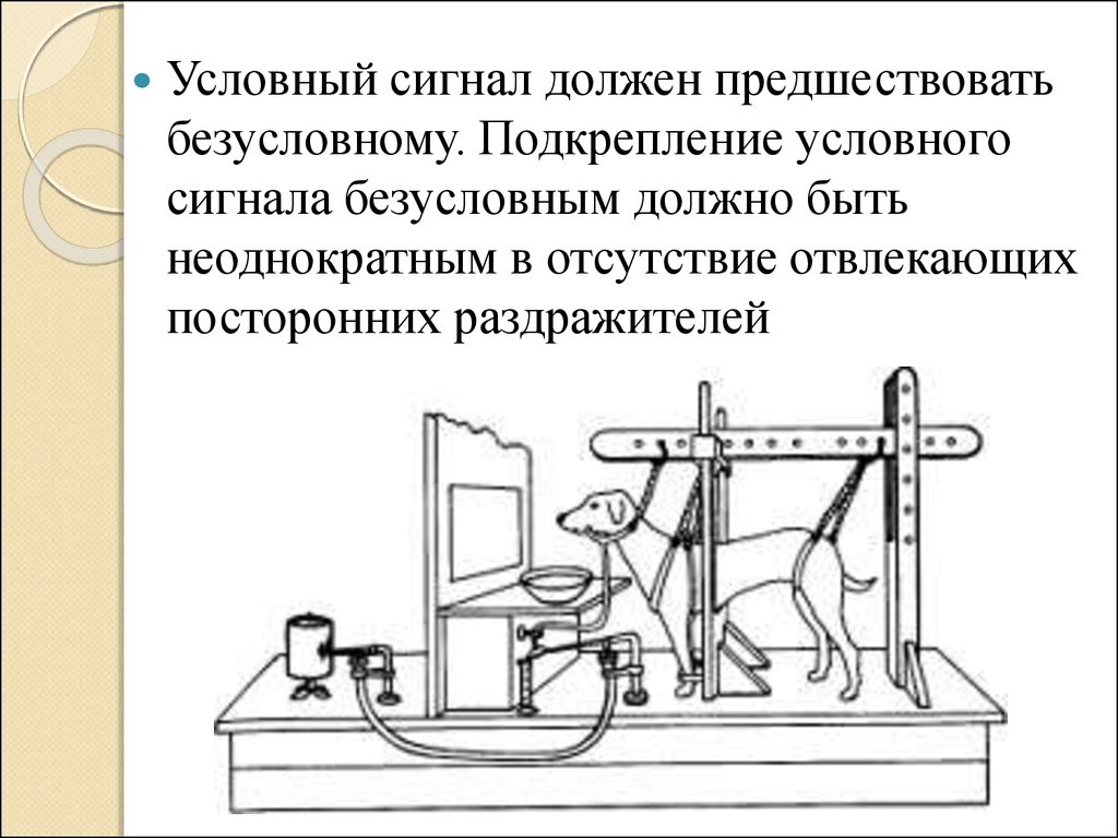 Условный сигнал. Условный рефлекс должен предшествовать безусловному. Отсутствии подкрепления условного сигнала безусловным. Отсутствие посторонних раздражителей.