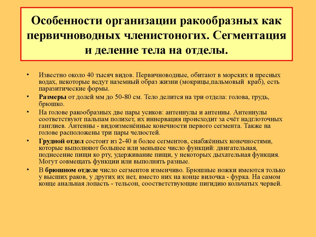 Анальная лопасть на конце брюшка ракообразных - Кроссворд