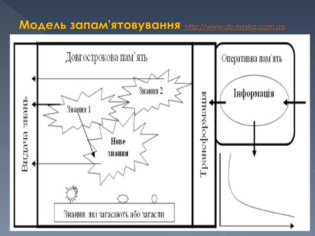 Модель запам'ятовування http://www.dy.nayka.com.ua