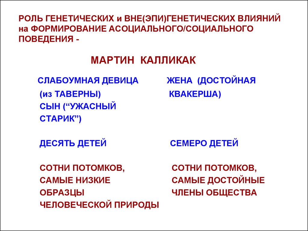 Методы исследования генетики человека презентация 10 класс