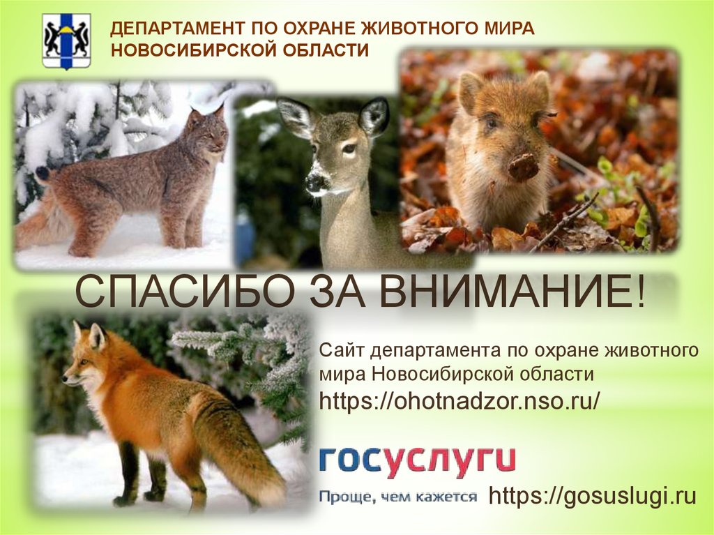 Сайт департамента по животного