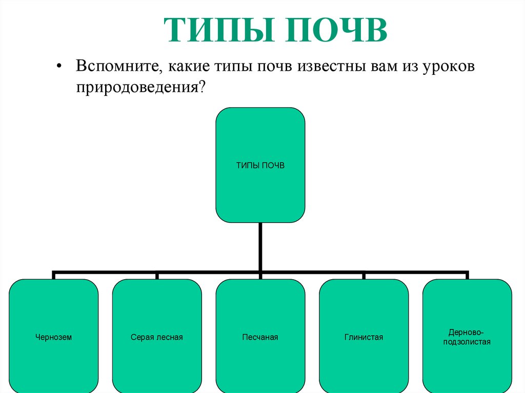 Типы почвы схема