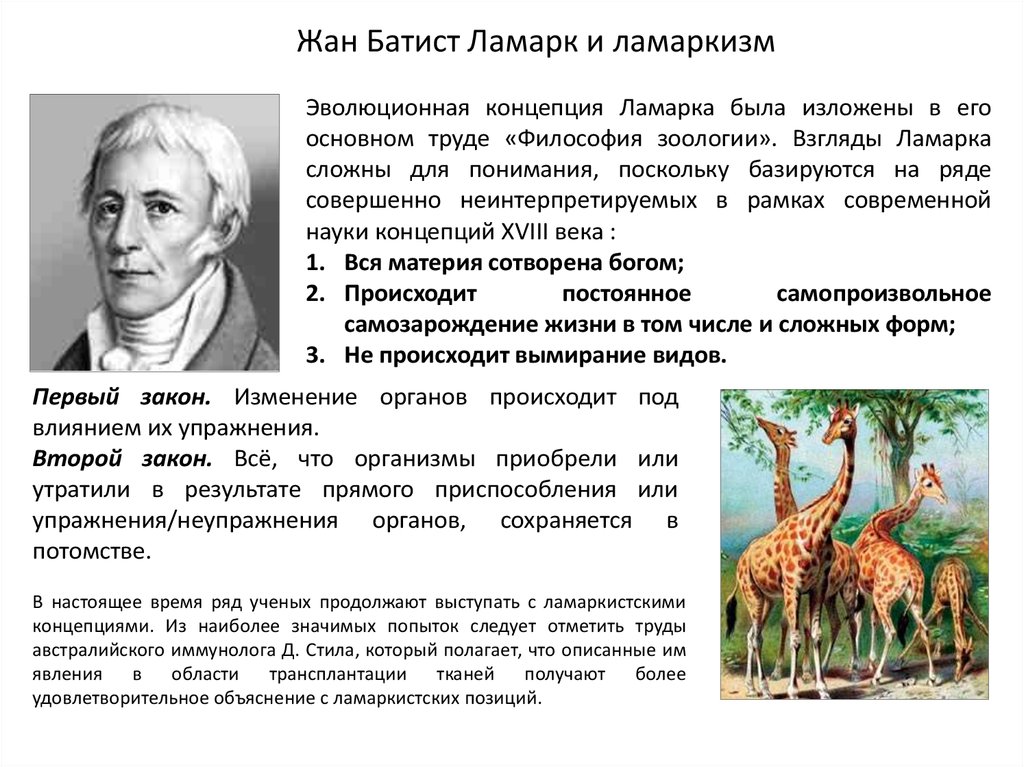 Суть теории ламарка. Эволюция жирафа Ламарк. Ламарк теория эволюции Жираф. Эволюционное учение жана Батиста Ламарка.