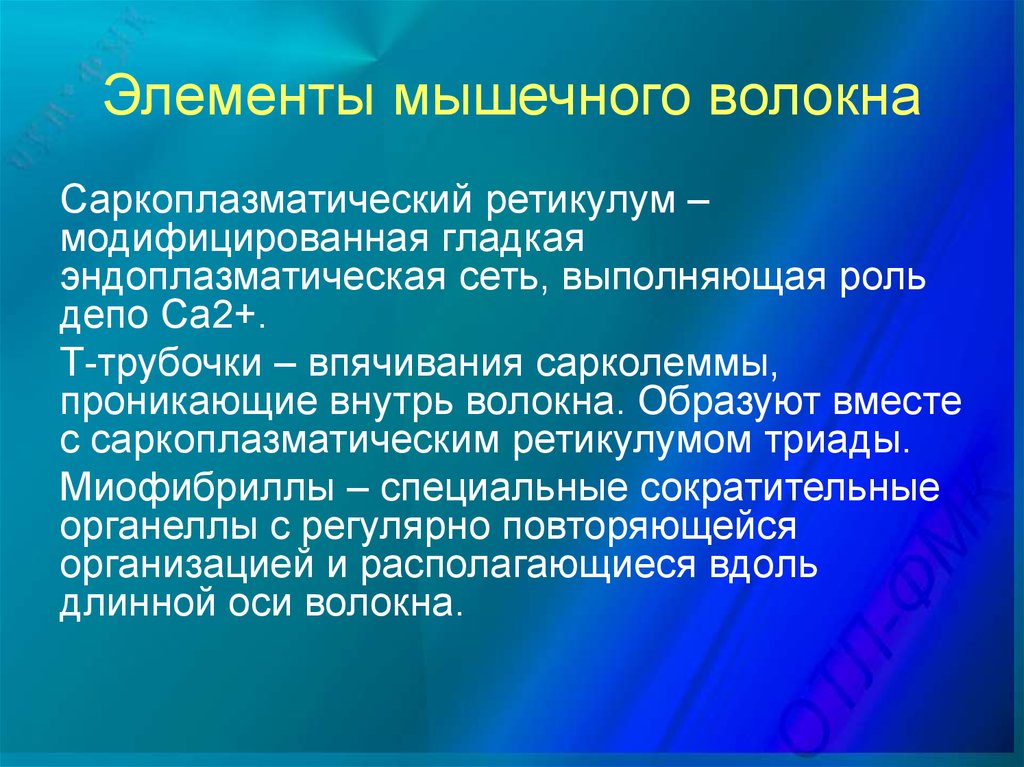 Структурные элементы мышц. Элементы мышечного волокна. Сократительные элементы мышц. Перечислить элементы мышечного волокна. Химические элементы в мышцах.