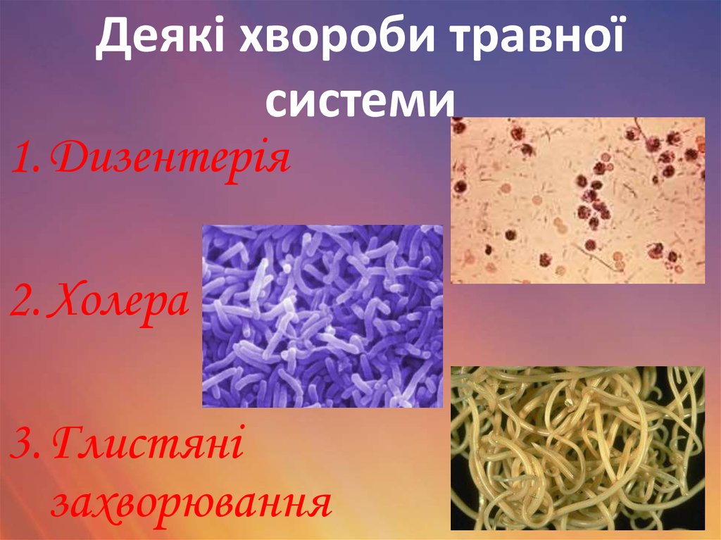 Деякі хвороби травної системи