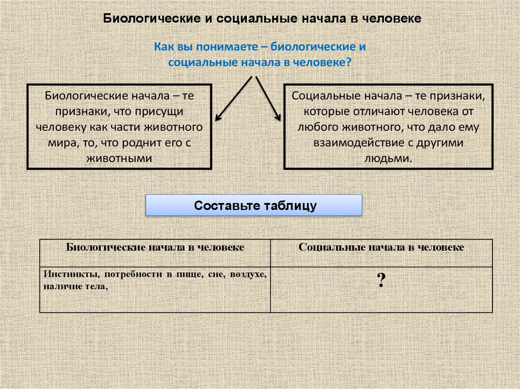 Природное и социальное в человеке презентация