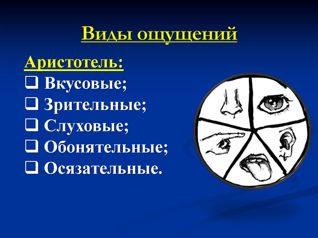 Виды ощущений. Виды ощущений картинки. Классификация ощущений по Аристотелю. Зрительные слуховые вкусовые вид ощущения. Виды ощущений картинки для презентации.