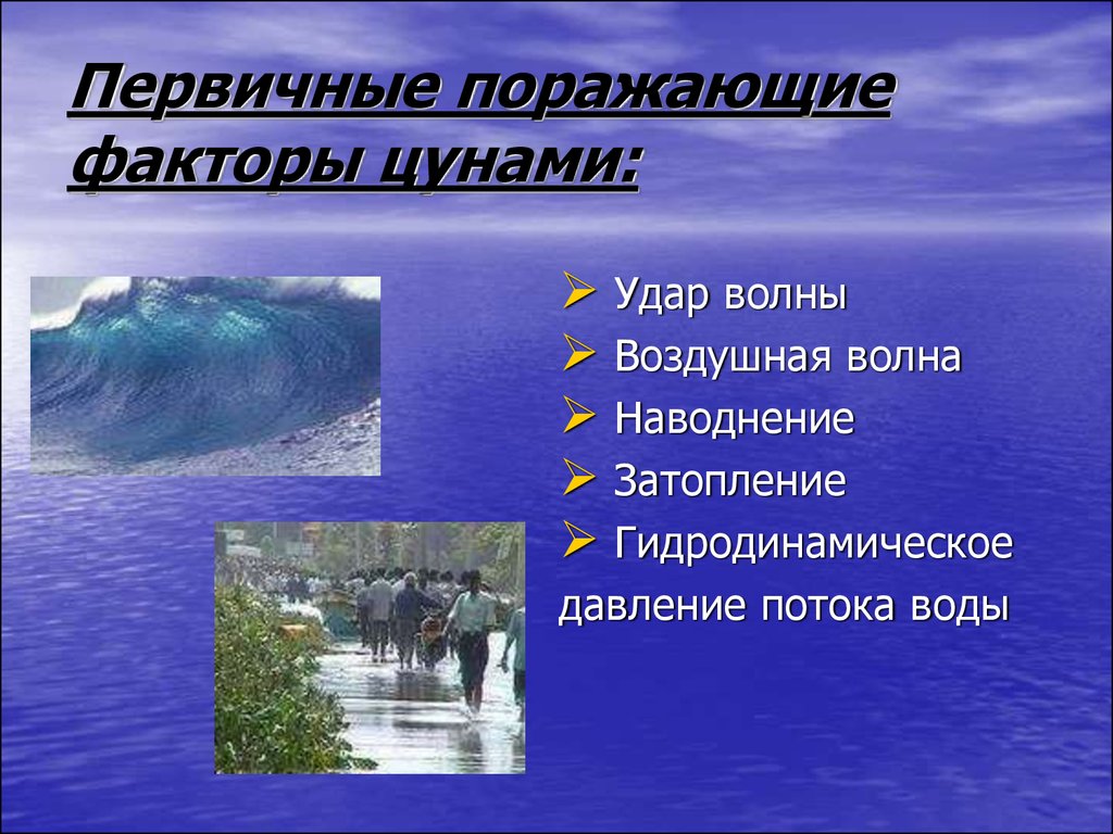 В каком океане зарождается цунами. Характеристика первичных поражающих факторов ЦУНАМИ. Поражающие факторы ЦУНАМИ. Первичные и вторичные поражающие факторы ЦУНАМИ. Первичные поражающие факторы ЦУНАМИ.