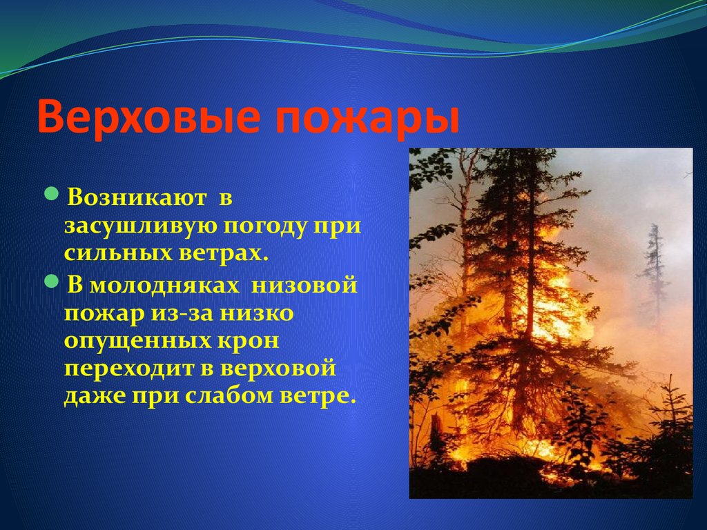 Сильные ветры возникают в. Верховой пожар. Верховые пожары возникают. Низовой пожар. Верховой и низовой пожар.