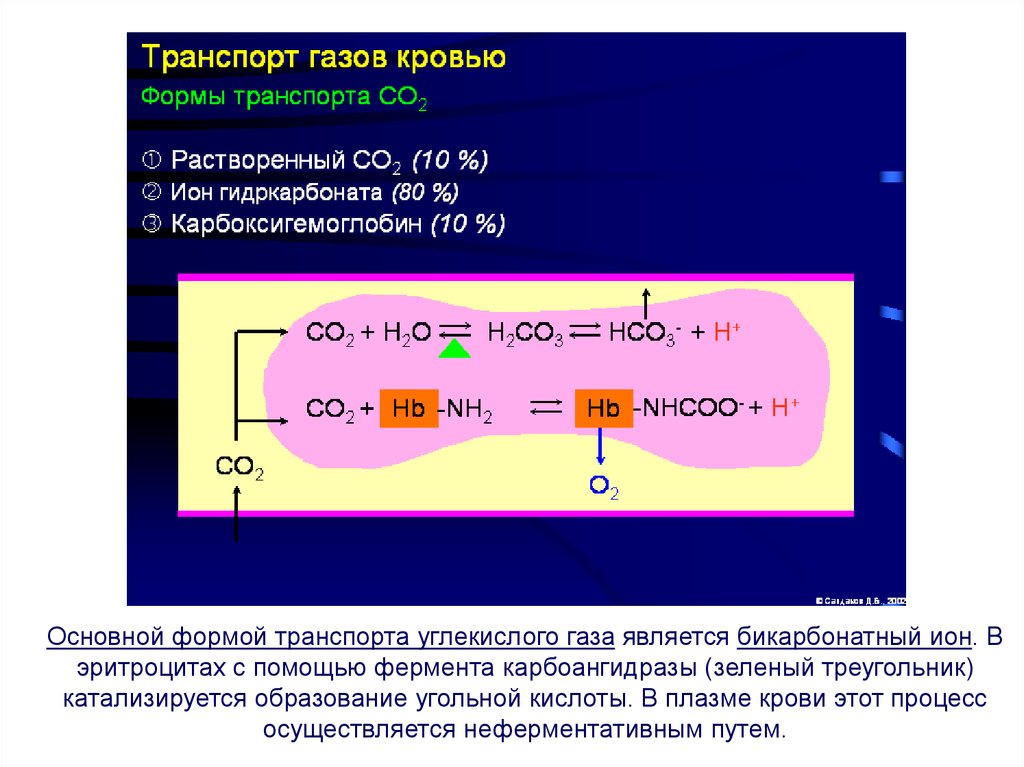 Перенос углекислого газа. Резервы вентиляции физиология. Резерв вентиляции легких. Удаление углекислого газа из крови. Расчет резерва вентиляции легких.