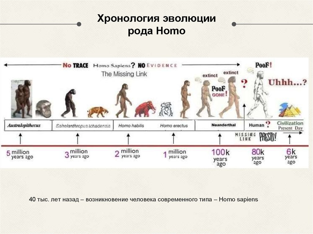 Хомо сапиенс появился в эпоху. Этапы развития человека хомо сапиенс. Таблица развития рода хомо. Этапы эволюции хомо сапиенс.