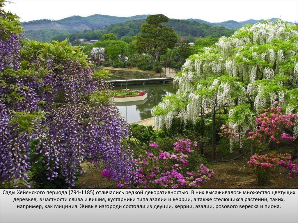 Сады Хейянского периода (794-1185) отличались редкой декоративностью. В них высаживалось множество цветущих деревьев, в частности слива и вишн