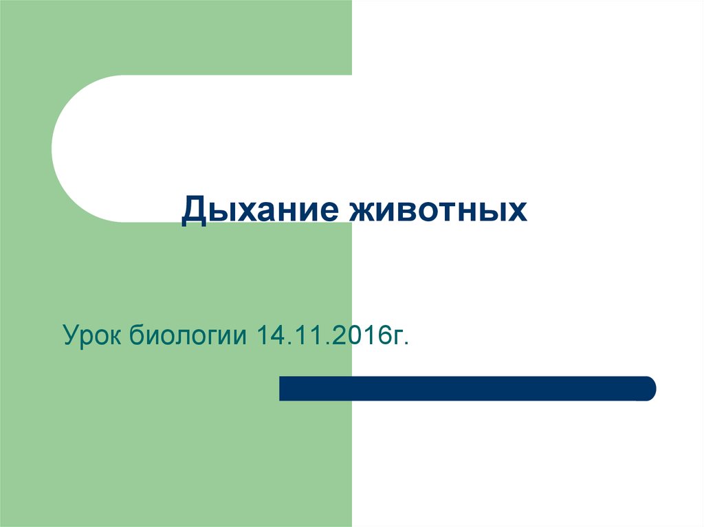 Урок дыхание животных. 3 Класс тесты по теме чем дышат животные картинки.