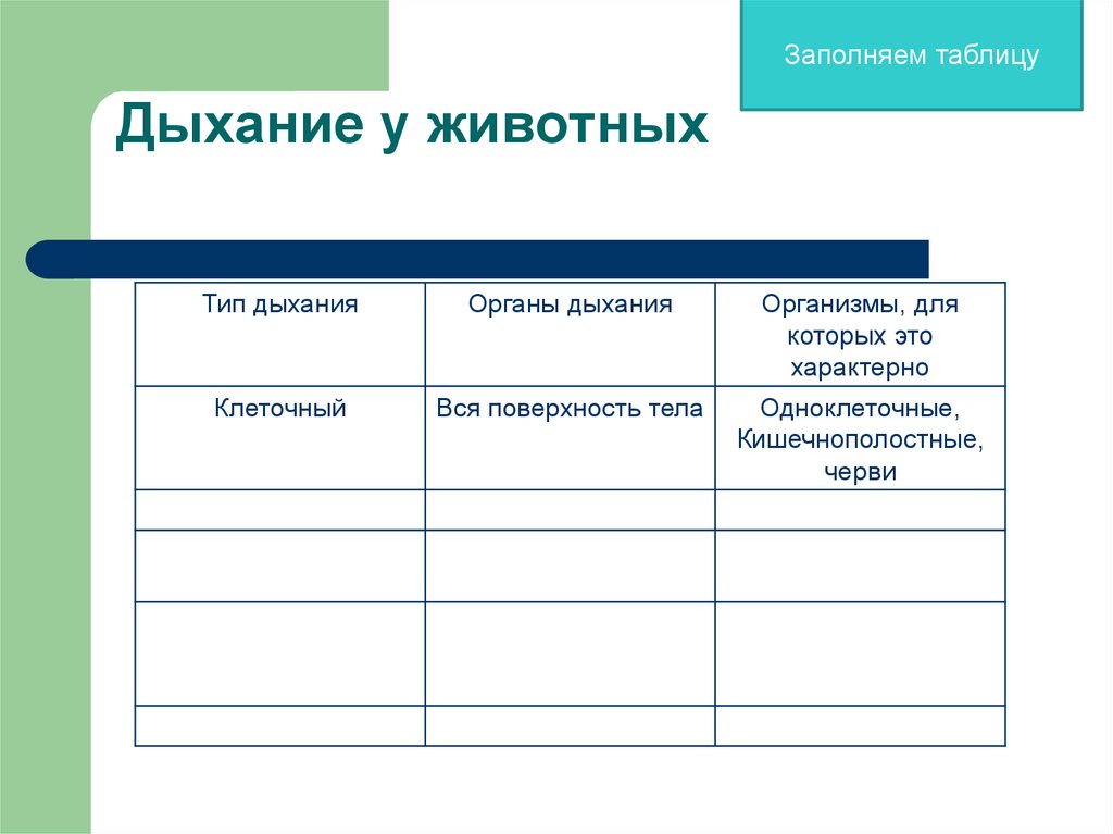 Дыхание таблица 8 класс биология. Заполни таблицу органы дыхания животных. Дыхание животных таблица. Способы дыхания животных таблица. Заполните таблицу дыхание животных.