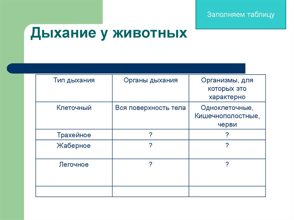 Дыхание организмов 10 класс