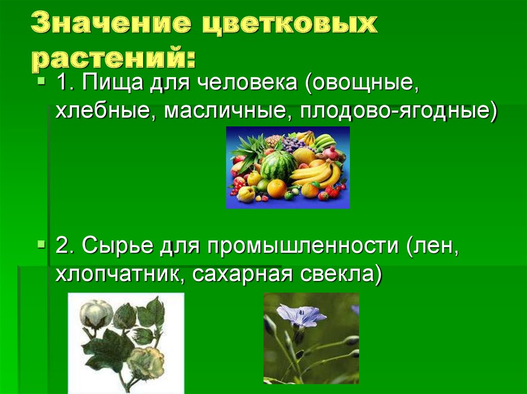 Каково значение растений в природе впр биология. Цветковые растения. Виды цветковых растений. Значение цветковых растений. Роль цветковых растений.
