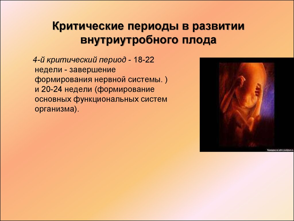 Внутриутробный период у человека длится. Критические этапы внутриутробного развития. Критические периоды развития эмбриона. Критические этапы развития эмбриона. Критические сроки формирования нервной системы.