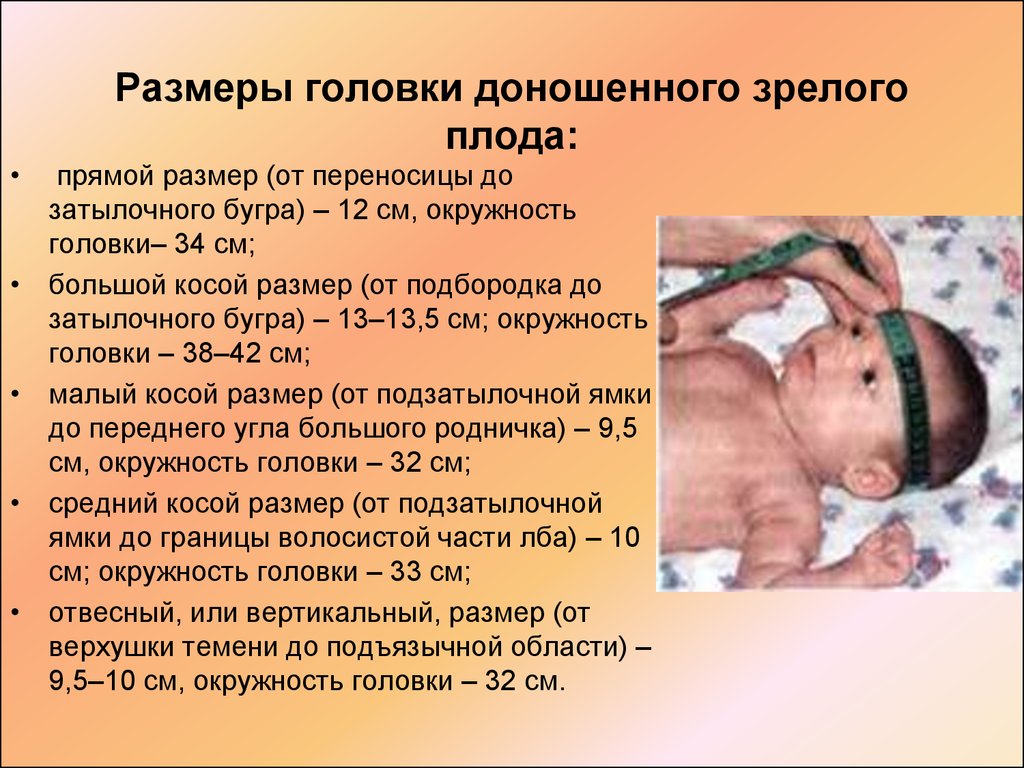 Недели ребенок жизнеспособен. Окружность головки доношенного плода. Размер головы доношенного новорожденного. Размеры головки доношенного плода.