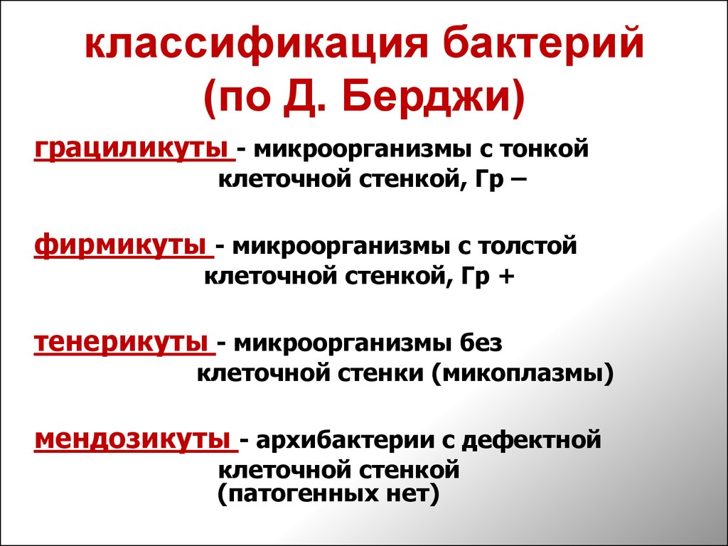 Бактериальный 1. Классификация бактерий поперджи. Классификация бактерий по Берги. Классификация микробов по Берги. Классификация микроорганизмов по Берги.