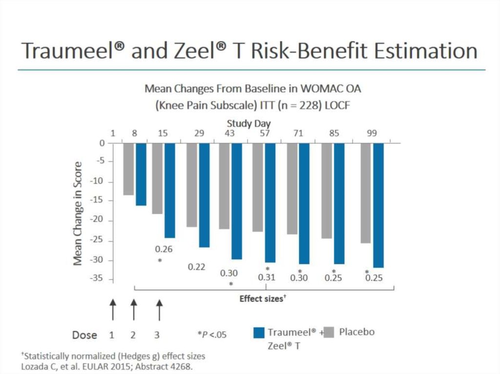 Traumeel® and Zeel® T Risk-Benefit Estimation