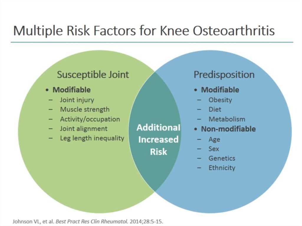 Multiple Risk Factors for Knee Osteoarthritis