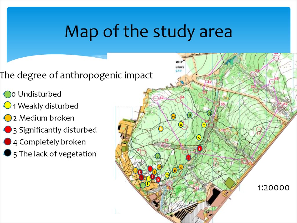 Area studies. Study area. Study the Active Vocabulary text Forests ecosystems or Green Gold.