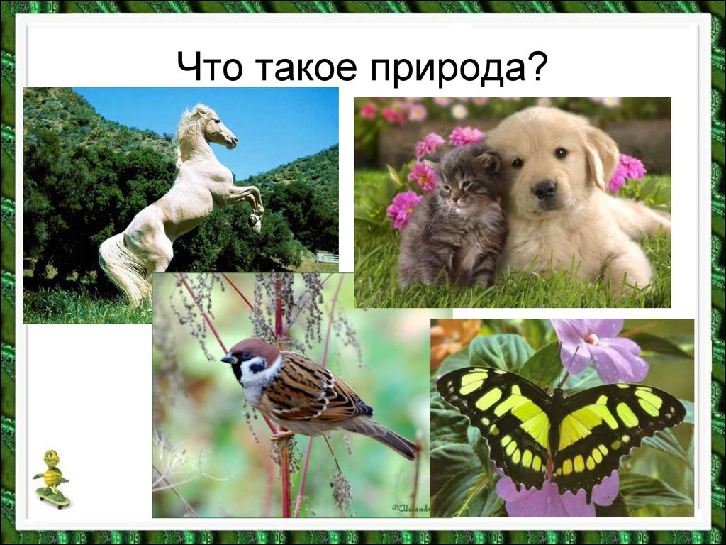 Что такое природа презентация