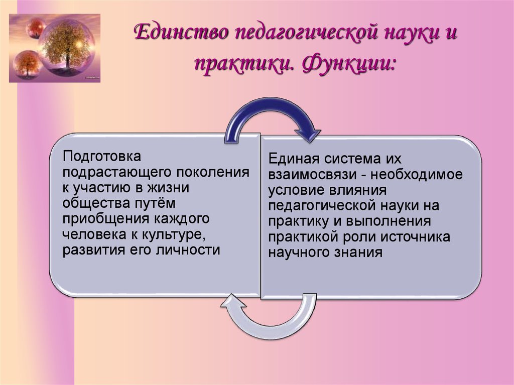 Пед наука. Единство и различия педагогической науки и практики. Взаимосвязь педагогической науки и практики. Различия педагогической практики и исследовательской работы. Взаимосвязь педагогической науки и педагогической практики.