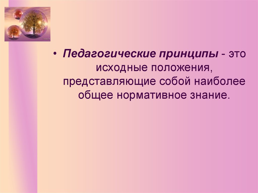 Представлена в положении. Педагогические принципы. Исходный.