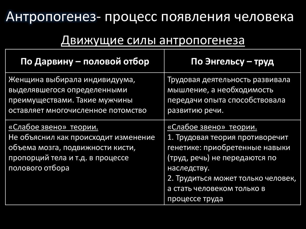 Единство биологического и социального в человеке