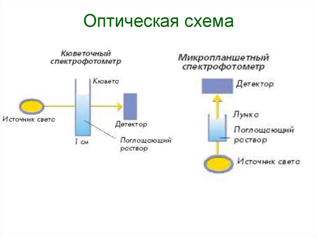 Схема работы спектрофотометра