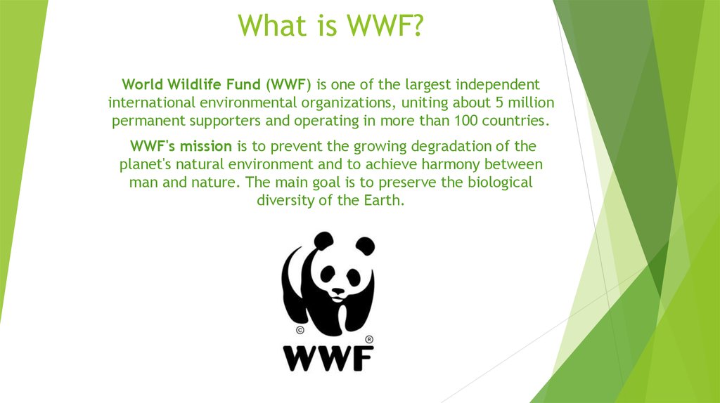 The world wildlife fund is. Всемирный фонд дикой природы WWF. Эмблема WWF Всемирного фонда дикой природы. Всемирный фонд дикой природы проекты. Фонд дикой природы в России.