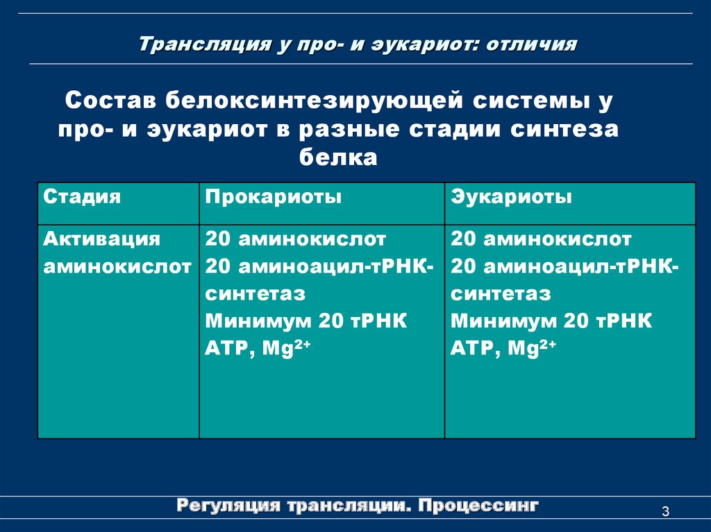 Этапы биосинтеза белка у эукариот. Отличия трансляции у про и эукариот. Транскрипция и трансляция у прокариот и эукариот таблица.