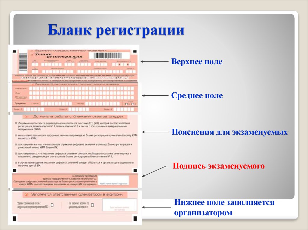 Оформление бланков огэ по русскому языку 2022 презентация