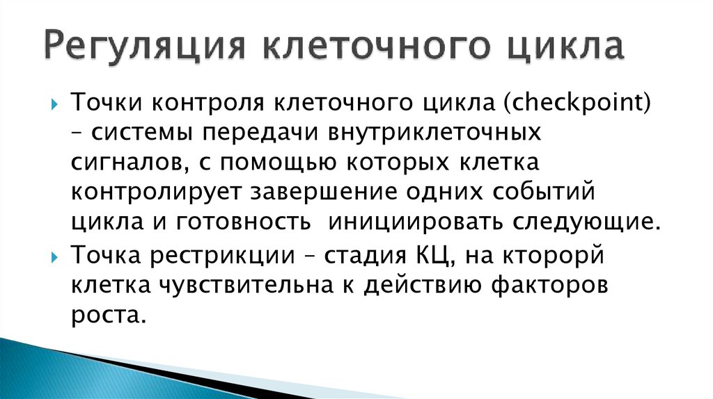 Регуляция клетки. Точки регуляции клеточного деления. Контрольные точки клеточного цикла и точки рестрикции.