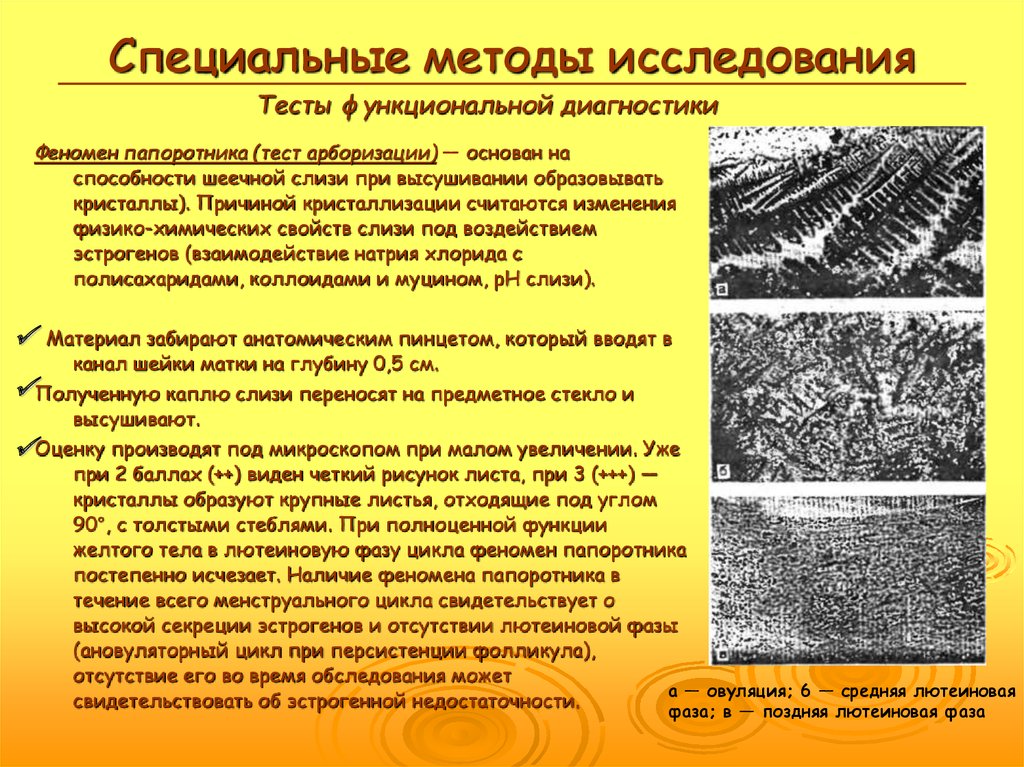 Особый способ. Феномен кристаллизации шеечной слизи симптом папоротника. Симптом кристаллизации цервикальной слизи. Специальные методы исследования. Симптом арборизации цервикальной слизи это.