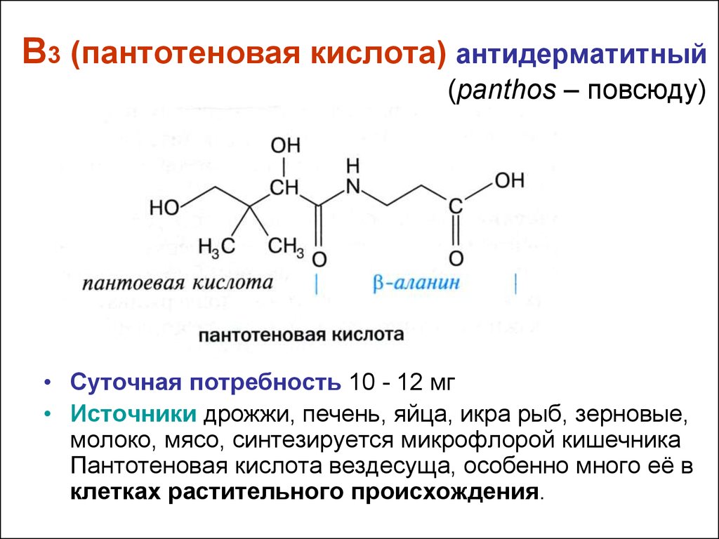 В3 (пантотеновая кислота) антидерматитный (panthos – повсюду)
