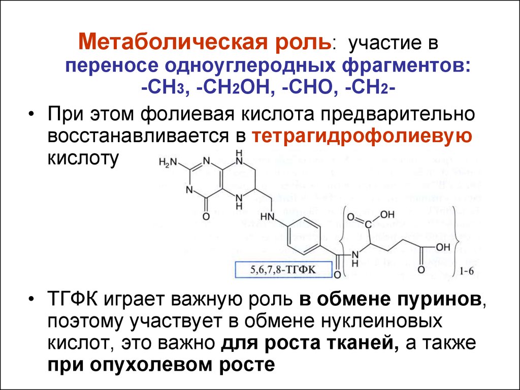 Синтез фолиевой кислоты. Кофермент фолиевой кислоты. Кофермент витамина в9. Фолиевая кислота функции биохимия. Витамин в9 биохимия.