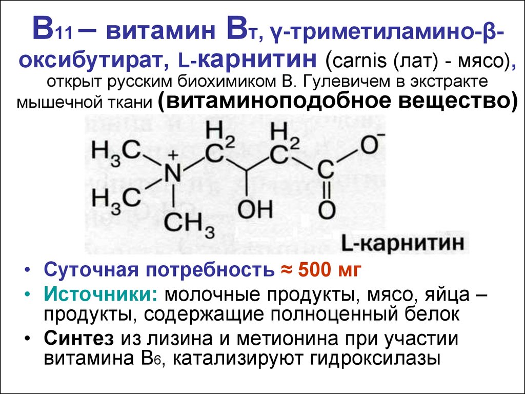 B11 – витамин Bт, γ-триметиламино-β-оксибутират, L-карнитин (carnis (лат) - мясо), открыт русским биохимиком В. Гулевичем в экстракте мышечной ткани