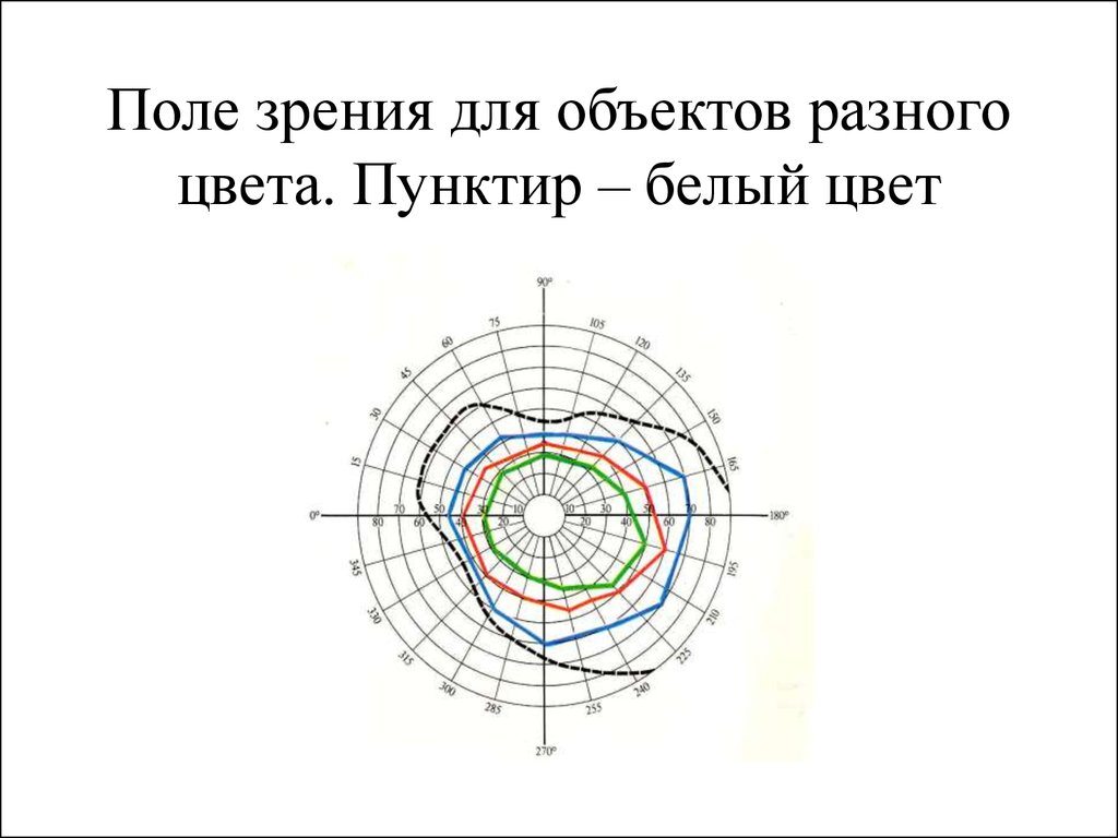 Анализатор поля зрения. Поле зрения физиология. Поле зрения норма на разные цвета. Почему поле зрения для белого цвета больше чем для других цветов. Почему поле зрения для белого цвета больше чем для других.