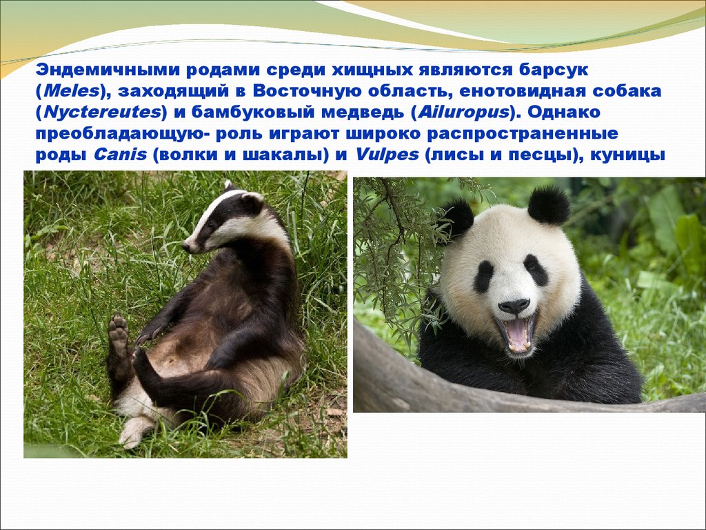 Презентация животный мир россии 8 класс география
