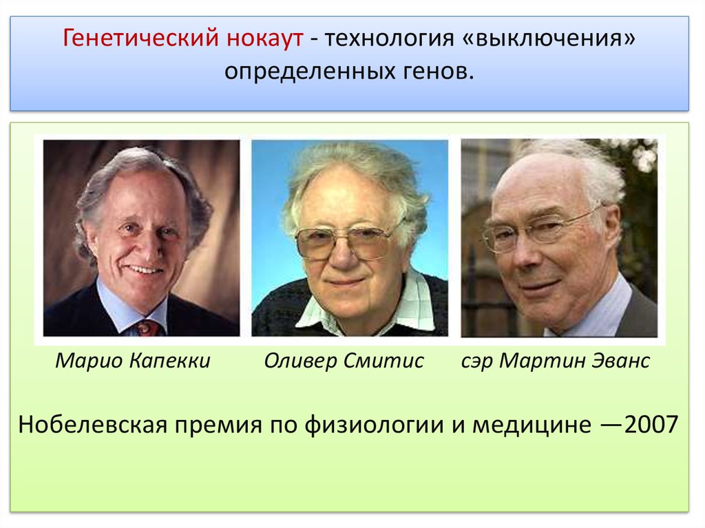 Генетические технологии это. Презентация на тему генетический нокаут.