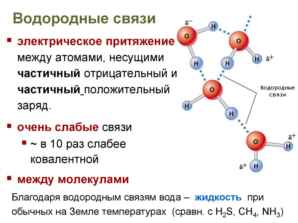 Какая связь между молекулами