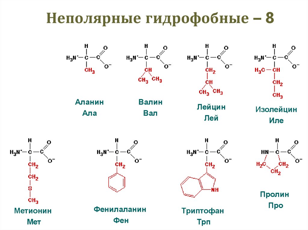 Ала гис фен. Аминокислоты с неполярным гидрофобным радикалом. Вал фен лей трипептид. Фен аминокислота формула. Неполярные аланин Валин лейцин.