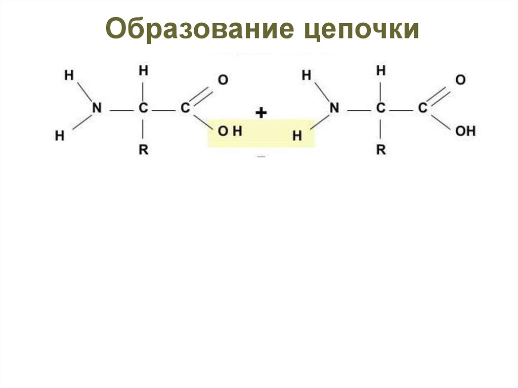 Цепь образования. Образовательная цепочка. Образование Цепочки ПЭТФ. Три образовательные Цепочки. Правила образовательная цепочка.