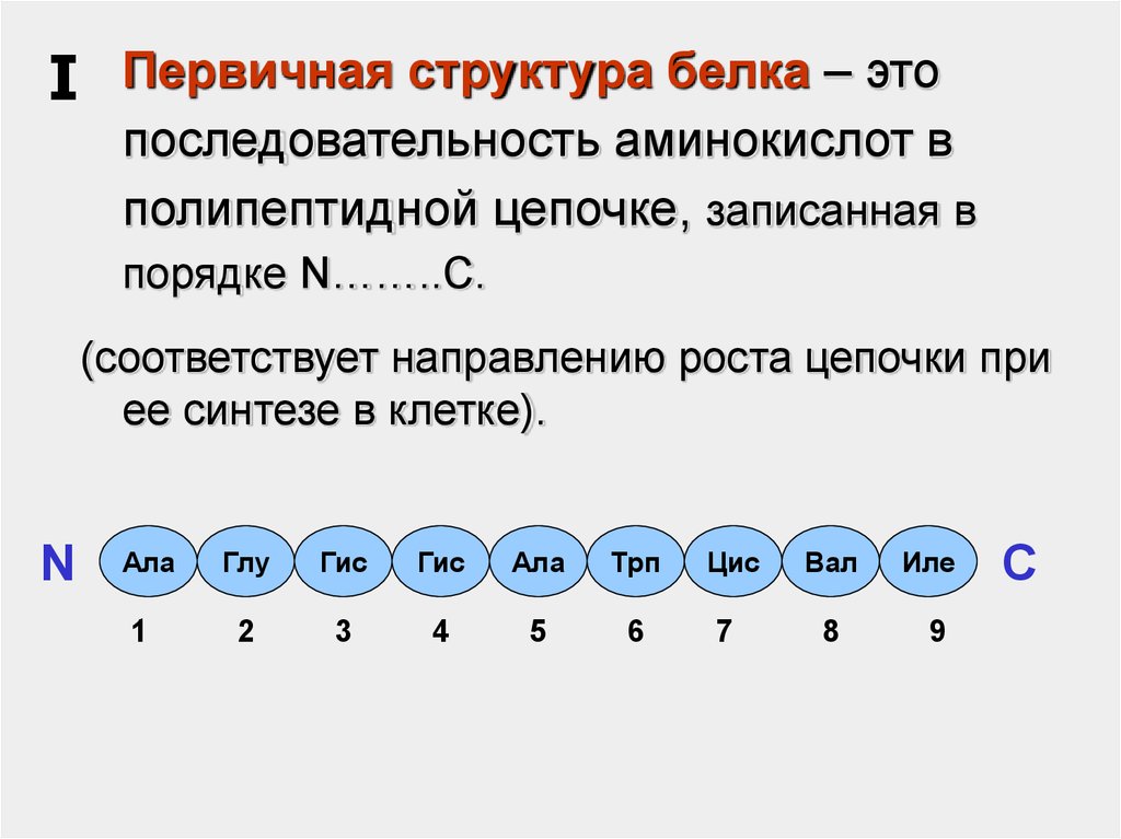 Последовательность аминокислот в молекуле белка. Первичная структура белка зашифрована в гене последовательностью. Первичная структура белка последовательность аминокислот. Первичная последовательность аминокислот. Первичная структура.