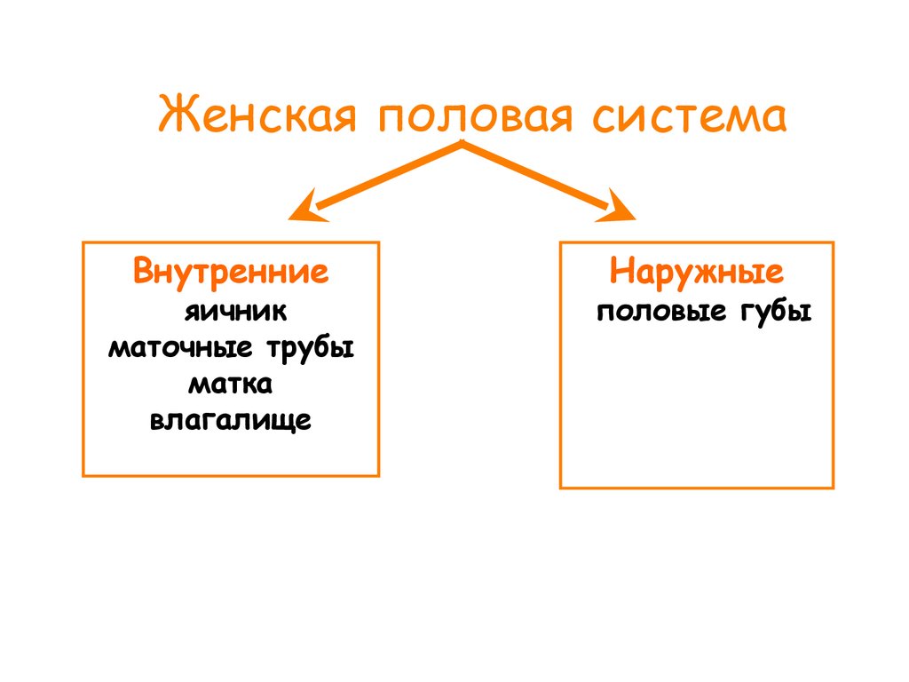 Презентация на тему размножение 8 класс