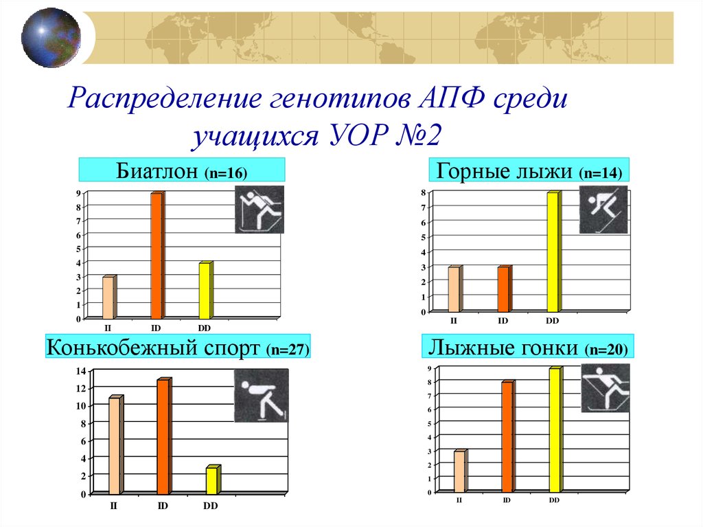 Распределение генотипов АПФ среди учащихся УОР №2